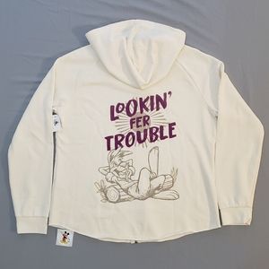 Disney Splash Mountain zip up hoodie